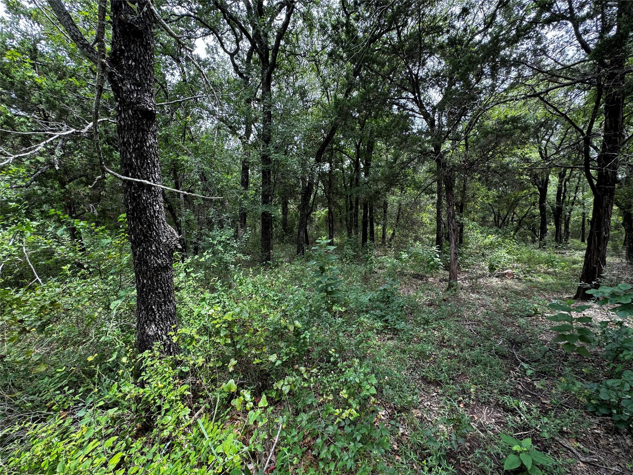 Image 1 Image 1