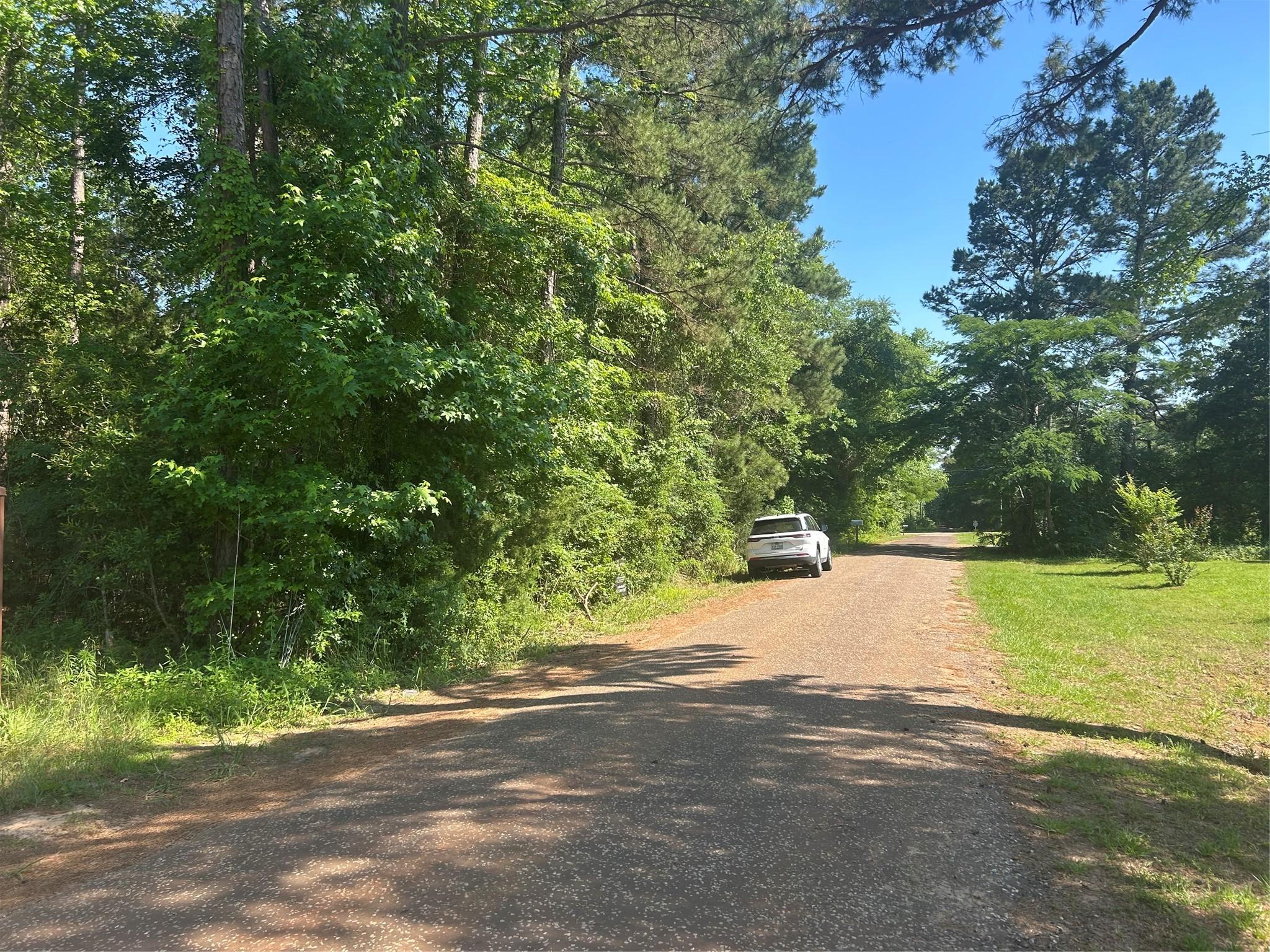 Image 1 Image 1