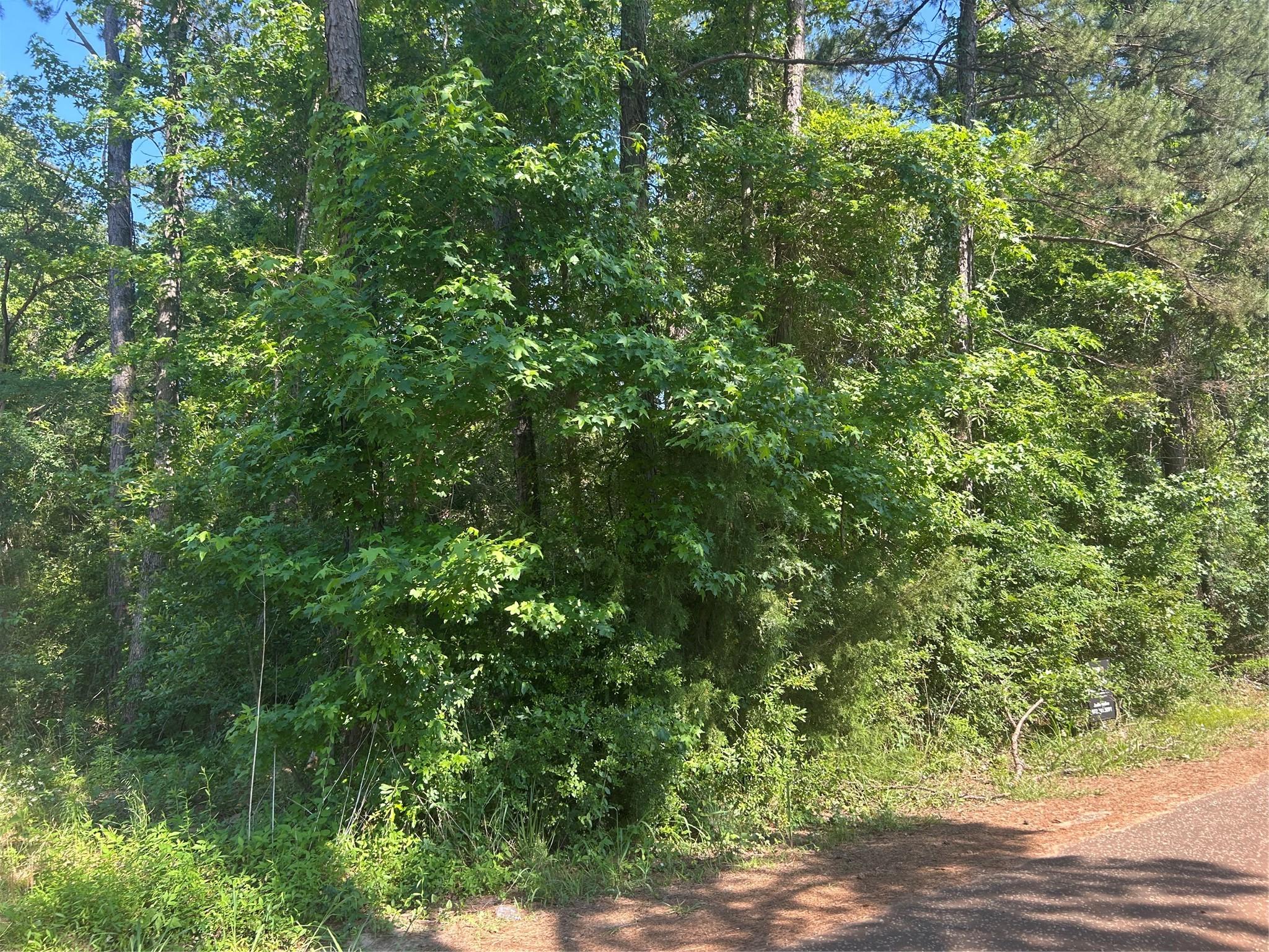 Image 3 Image 3