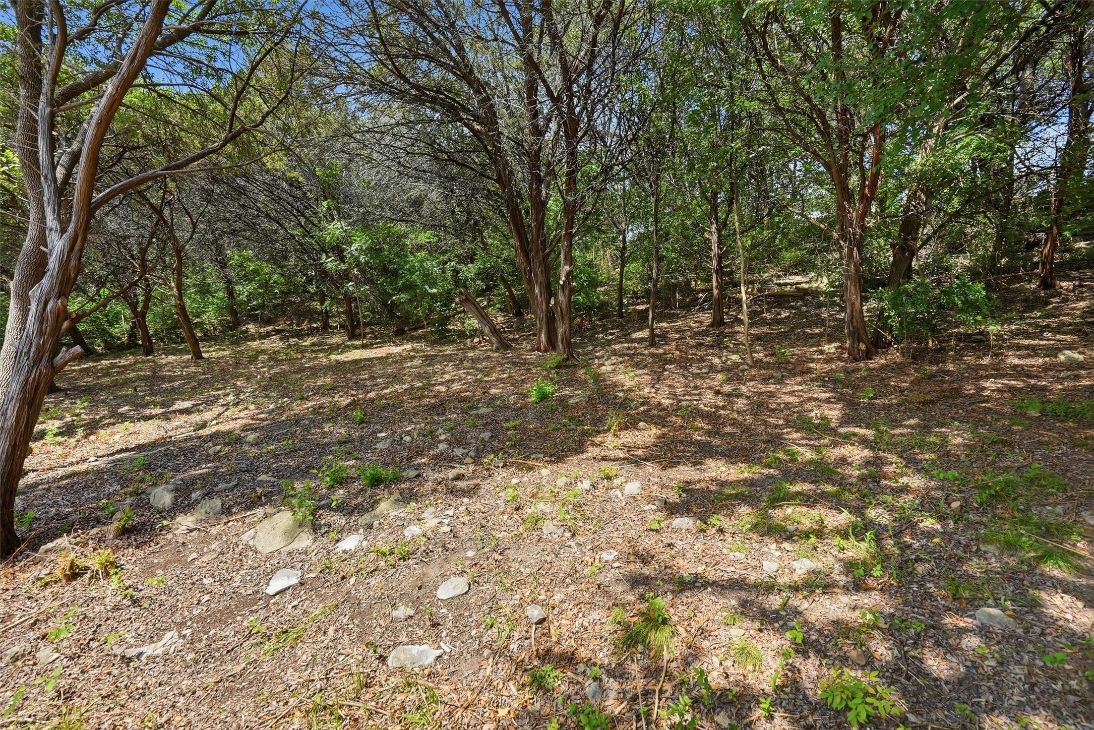 Image 4 Image 4