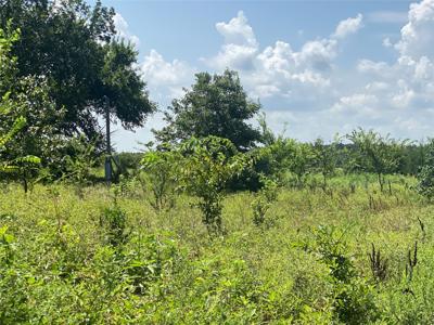 921 County Road 2285