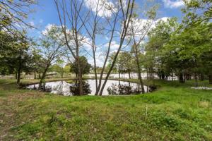 10164 Gaillard Lake