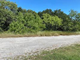 Lot 80 TBD Palmetto Court