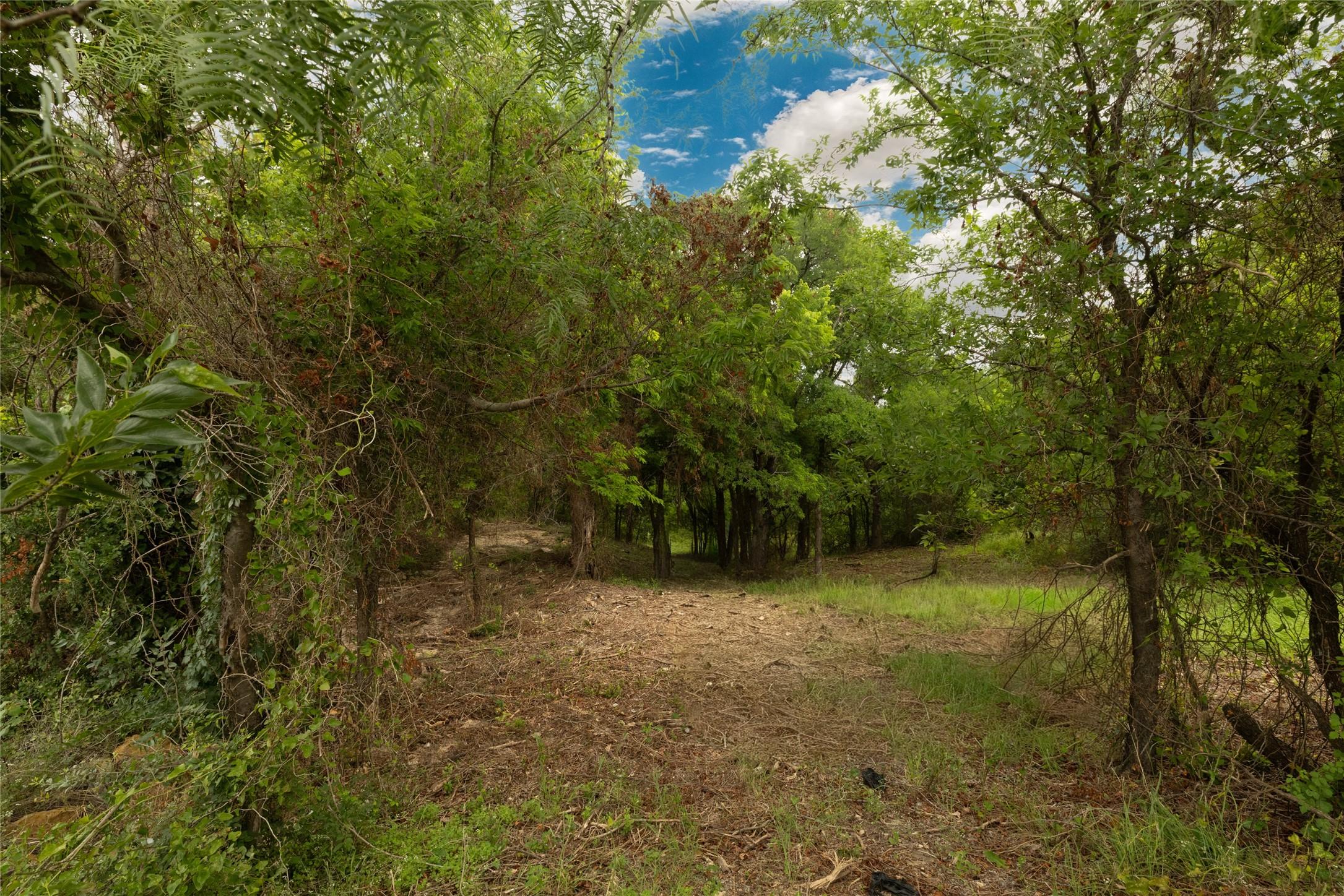 Image 4 Image 4