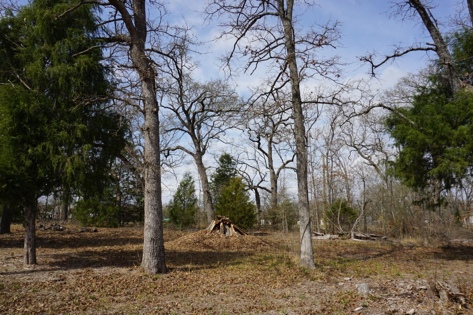 Image 3 Image 3