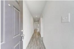 Image 4 Image 4