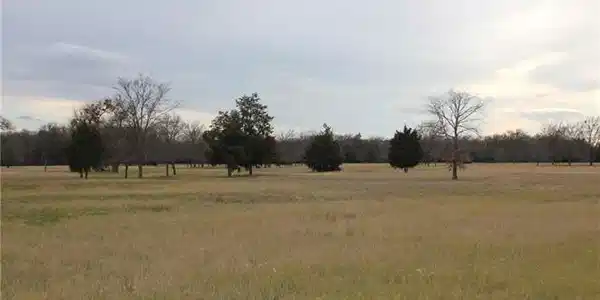 134 County Road 2230 Lot 134