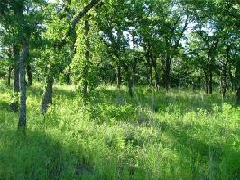 2 Post Oak Ridge Lot 299