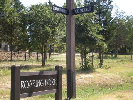 158 Roaring Fork Circle Lot 11