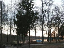 44 County Road 1953