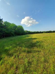 TBD County Road 2855