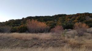Lot 141 Lt 141 Canyon Wren Loop