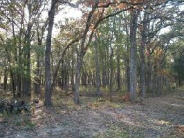 Lot 36 Fox Point Circle Lot 36