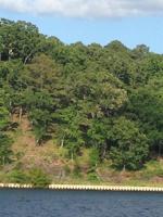 177 N Lake Bluff Drive