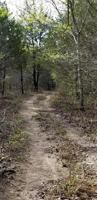 TBD FM 271