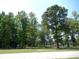 5658 Nathan Drive Lot 38