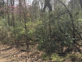 None LCR 794 Lot 022