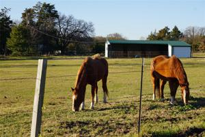 564 County Road 2510