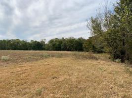 Lot 5 County Road 1560