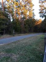 125 Bellview Road