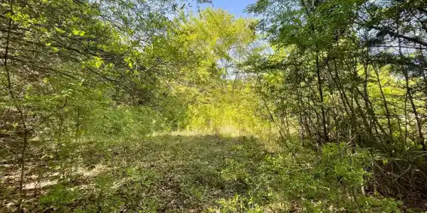 Lot 21 SE County Road 3310