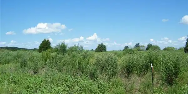 Lot 10 Lot 10 SE County Road 3321