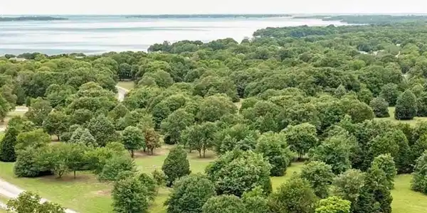 Lot 81 L 81 Jackson Circle