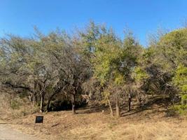 4605 Evening View Drive