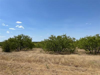2025 Canyon Wren Loop S