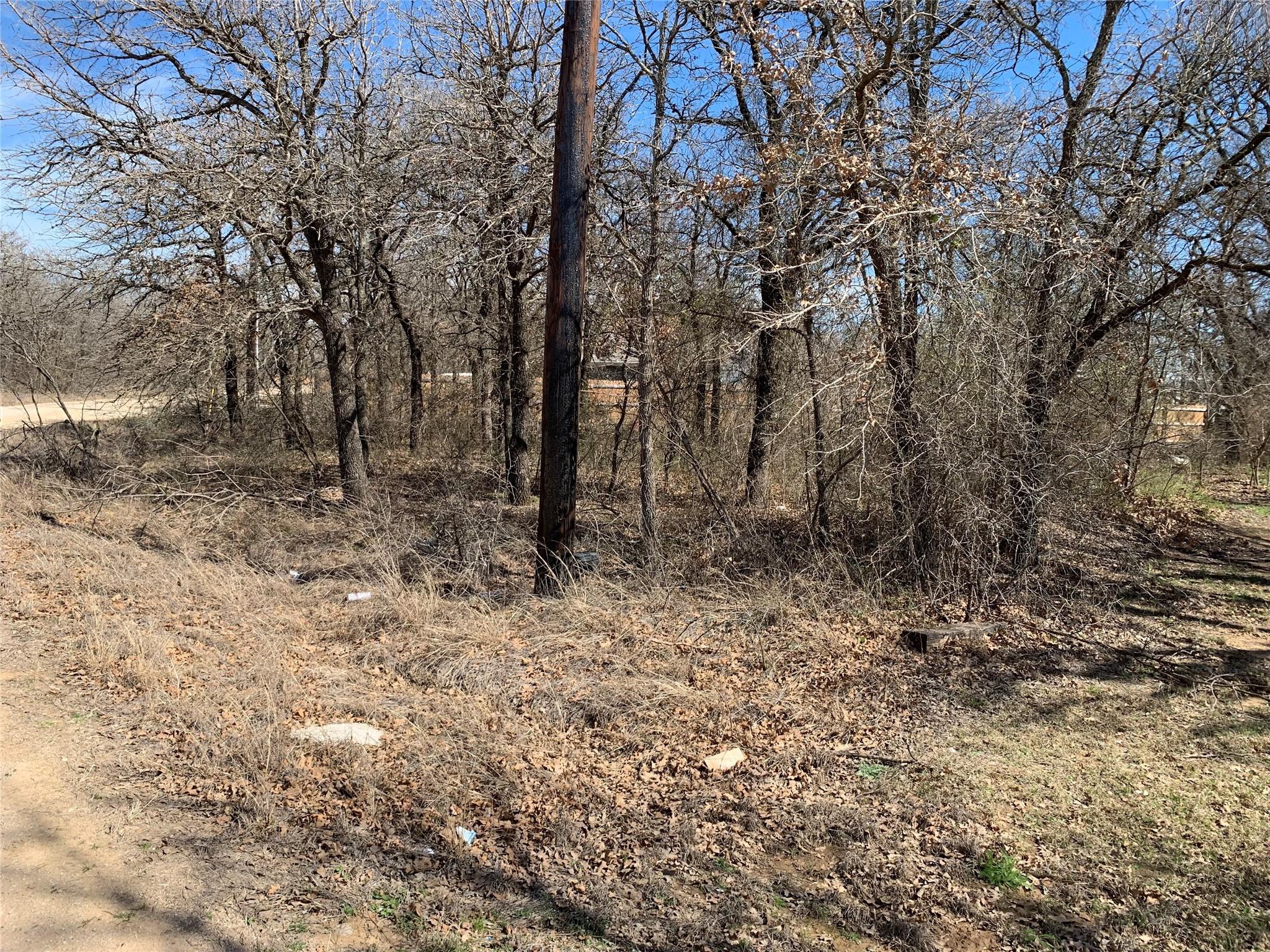 Image 1 Image 1