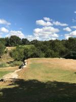 12170 Rolling Oaks Drive