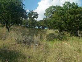 Lot 26 Lot 26 Grand Harbor Boulevard