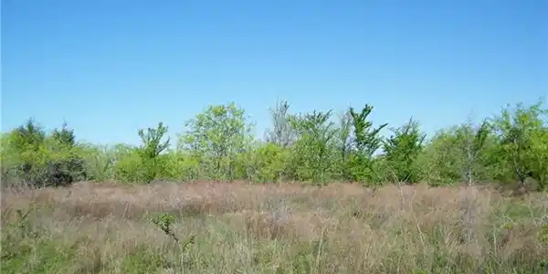 Lot 5 SE County Road 2247 Road Lot 5