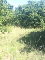 Lot 1 Bryson Ridge Dr Drive Lot 1