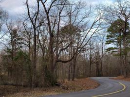 Lot 12 County Road 2275