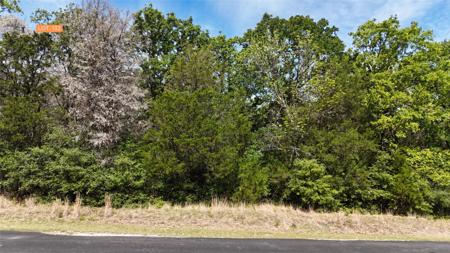 Lot 132 Lincoln Drive