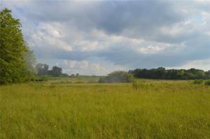 3 W Hwy 154