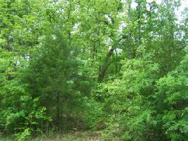 0 Dogwood Trail Lot 7&8
