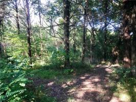 Lot 36 TBD County Rd 2607