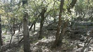 973 Harbor Drive Lot 973