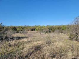 TBD Carie Drive