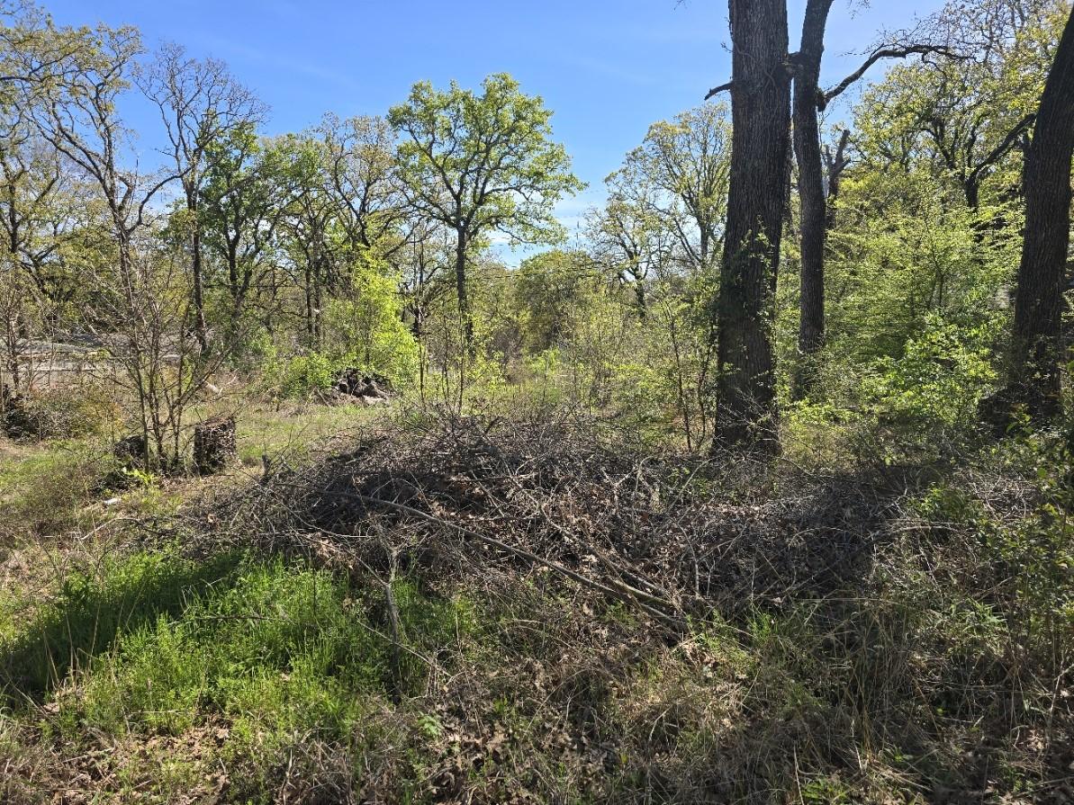 Image 1 Image 1