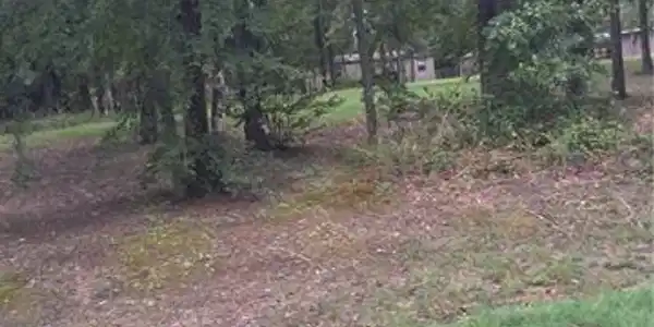 416 Susan Grove Boulevard Lot 8, 9