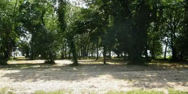 The Shores Drive Lot 503