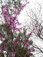 180 Anchors Way Lot 892