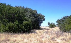 60 Prestwick Drive Lot 8