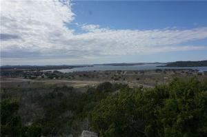 L982-R Cinnamon Teal Lot 982