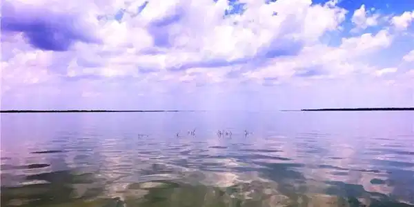 0 Lake View Landing Lot 549