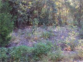 0 Mimosa Lot 9