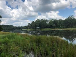 9042 Safari Bluff